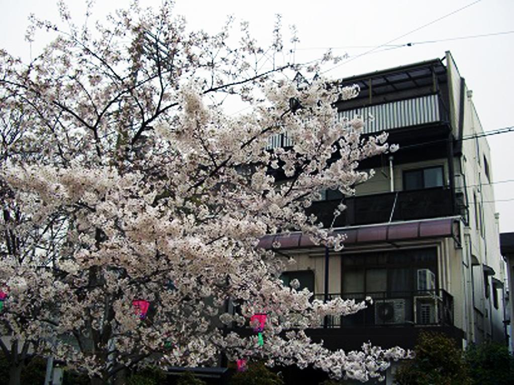 W.K Inn Osaka Ngoại thất bức ảnh